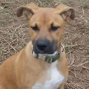 Meet your Posher, Tamara